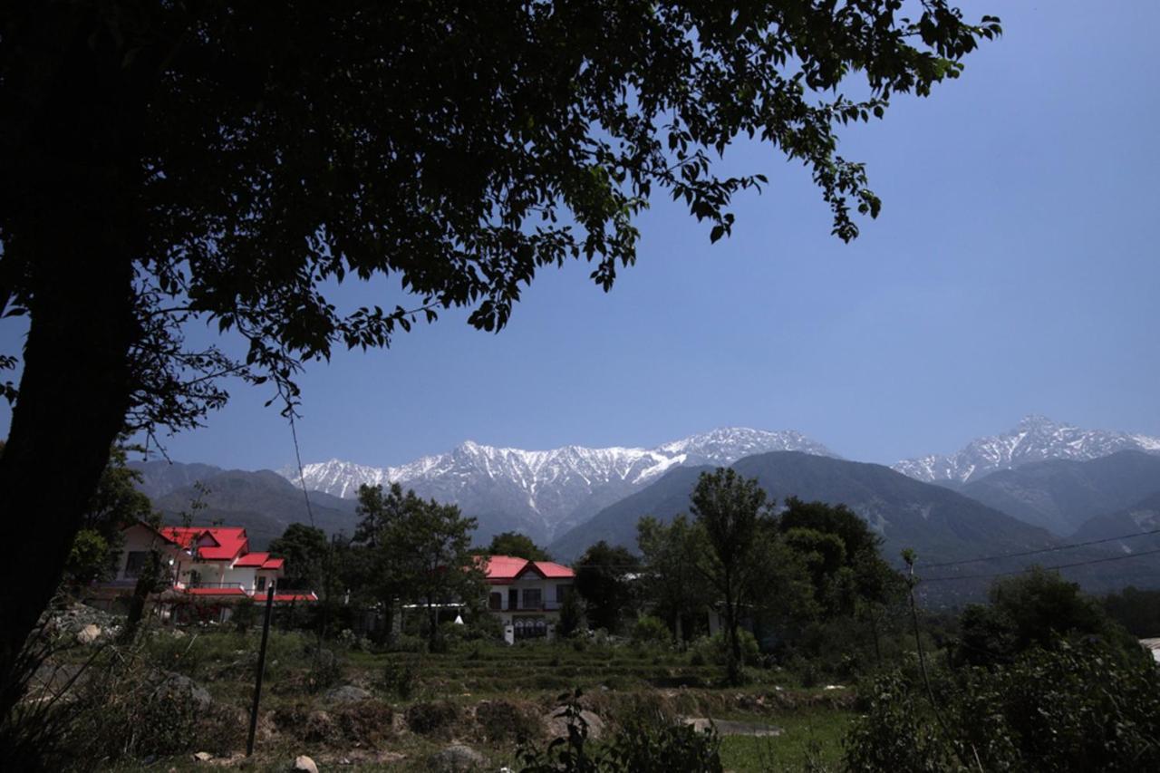 Harmony Blue Mcleodganj McLeod Ganj Exterior foto